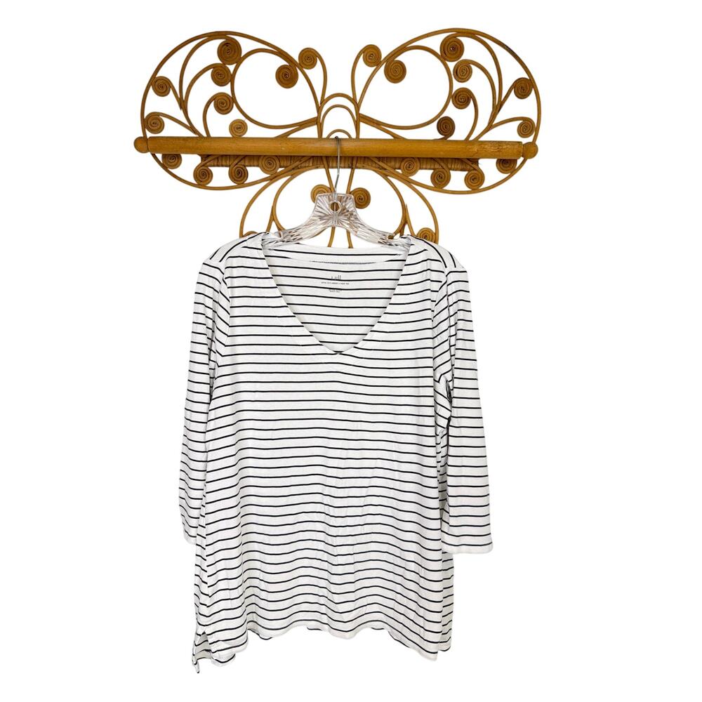 J.Jill Pima 3/4 sleeve v-neck top striped white, black L